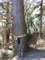 阿久津「田村神社」(郡山市阿久津町)旧社名:伊豆箱根三嶋三社(福島県)