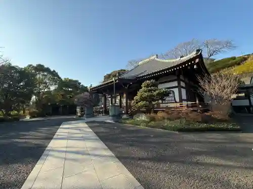 養源寺の{uncategorized: "未分類", other: "その他", undefined: "問題あり", building: "その他建物", grave: "お墓", sacred_gate: "鳥居", guardian: "狛犬", statue: "像", buddha: "仏像", history: "歴史", nature: "自然", garden: "庭園", animal: "動物", pagoda: "塔", temizu: "手水舎", mountain_gate: "山門・神門", sanctuary: "本殿・本堂", subordinate: "末社・摂社", art: "芸術", scenery: "景色", jizo: "地蔵", ema: "絵馬", goshuin: "御朱印", omikuji: "おみくじ", items: "授与品その他", amulet: "お守り", goshuincho: "御朱印帳", eats: "食事", festival: "お祭り", votive_dance: "神楽", shichigosan: "七五三参", wedding: "結婚式", experience: "体験その他", initially: "初詣", around: "周辺", anti_infection: "感染症対策"}