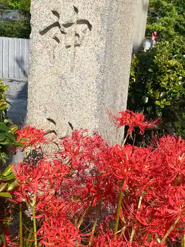 狭山神社(大阪府)