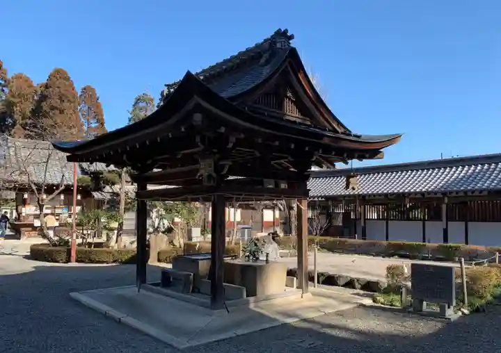 沙沙貴神社の手水舎