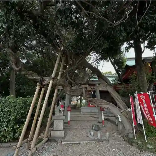 豊藤稲荷神社の{uncategorized: "未分類", other: "その他", undefined: "問題あり", building: "その他建物", grave: "お墓", sacred_gate: "鳥居", guardian: "狛犬", statue: "像", buddha: "仏像", history: "歴史", nature: "自然", garden: "庭園", animal: "動物", pagoda: "塔", temizu: "手水舎", mountain_gate: "山門・神門", sanctuary: "本殿・本堂", subordinate: "末社・摂社", art: "芸術", scenery: "景色", jizo: "地蔵", ema: "絵馬", goshuin: "御朱印", omikuji: "おみくじ", items: "授与品その他", amulet: "お守り", goshuincho: "御朱印帳", eats: "食事", festival: "お祭り", votive_dance: "神楽", shichigosan: "七五三参", wedding: "結婚式", experience: "体験その他", initially: "初詣", around: "周辺", anti_infection: "感染症対策"}