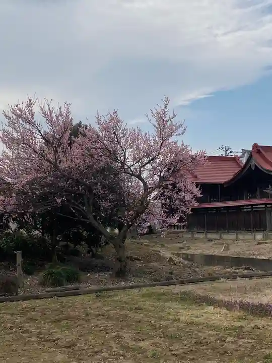 香取神社の自然