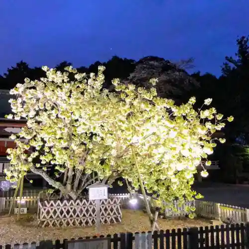 上地八幡宮の庭園