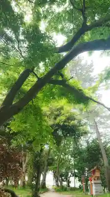 若宮神明社のその他建物