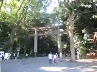 明治神宮の鳥居