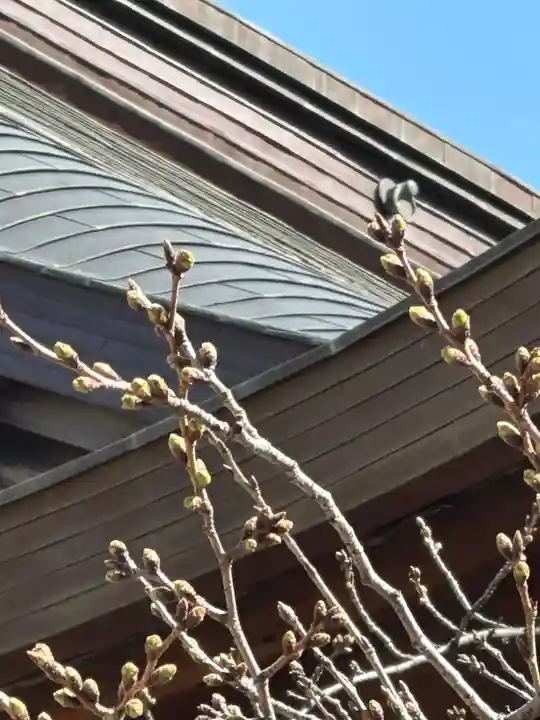 靖國神社(東京都)