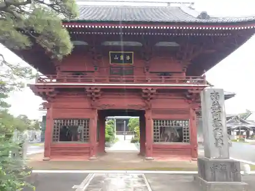 徳願寺の山門