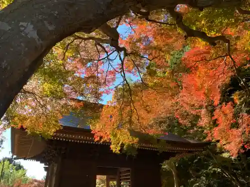 普門寺(切り絵御朱印発祥の寺)の山門・神門