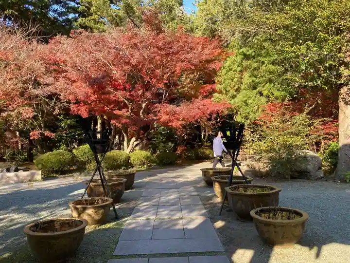 覚園寺(神奈川県)