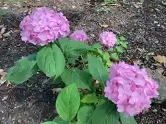 高忍日賣神社の自然