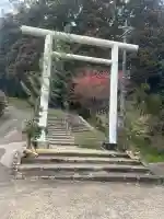 田ノ上八幡神社の{uncategorized: "未分類", other: "その他", undefined: "問題あり", building: "その他建物", grave: "お墓", sacred_gate: "鳥居", guardian: "狛犬", statue: "像", buddha: "仏像", history: "歴史", nature: "自然", garden: "庭園", animal: "動物", pagoda: "塔", temizu: "手水舎", mountain_gate: "山門・神門", sanctuary: "本殿・本堂", subordinate: "末社・摂社", art: "芸術", scenery: "景色", jizo: "地蔵", ema: "絵馬", goshuin: "御朱印", omikuji: "おみくじ", items: "授与品その他", amulet: "お守り", goshuincho: "御朱印帳", eats: "食事", festival: "お祭り", votive_dance: "神楽", shichigosan: "七五三参", wedding: "結婚式", experience: "体験その他", initially: "初詣", around: "周辺", anti_infection: "感染症対策"}