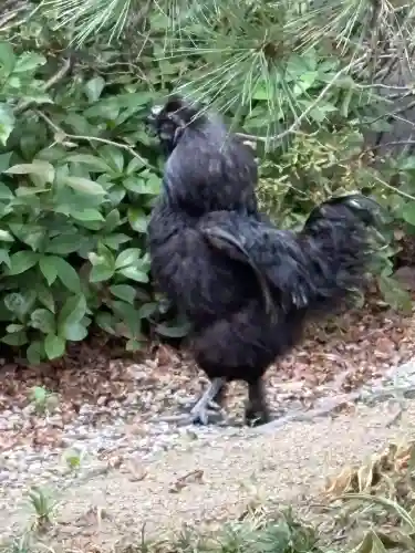 熱田神宮(愛知県)