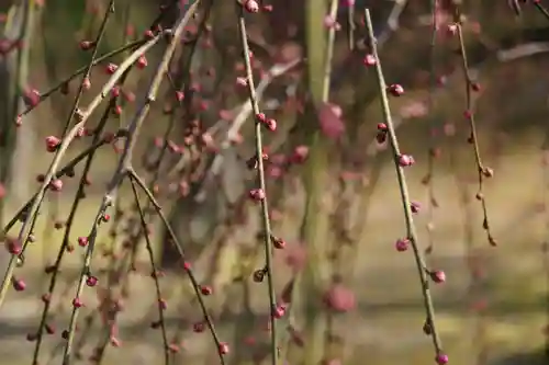 城南宮(京都府)