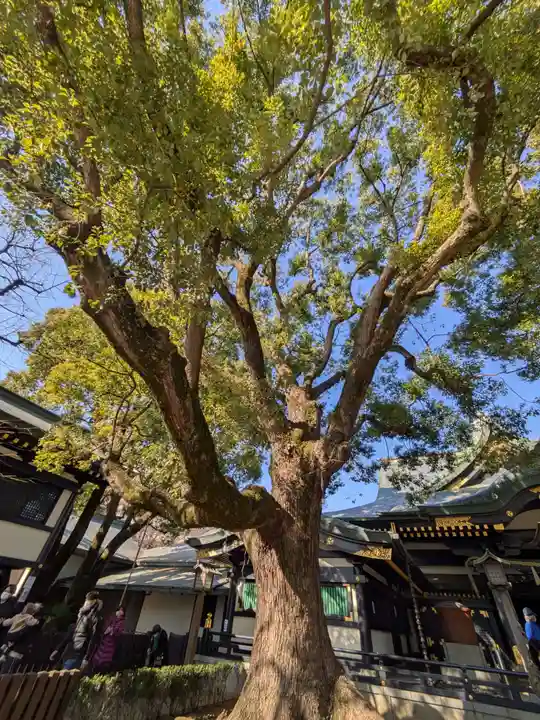 穴八幡宮(東京都)