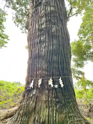 日吉神社(千葉県)