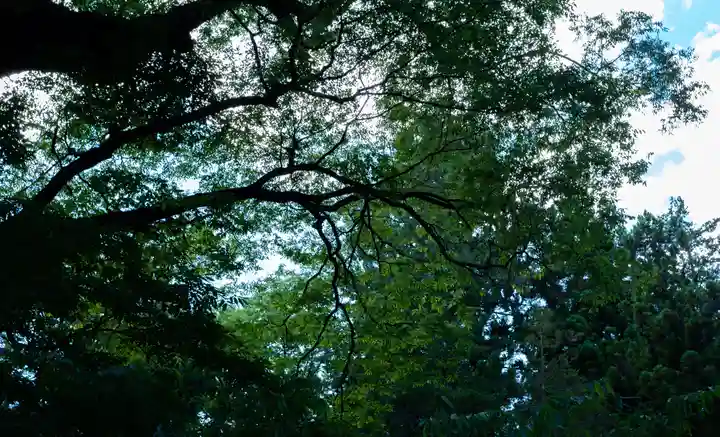 諏訪大社下社春宮(長野県)