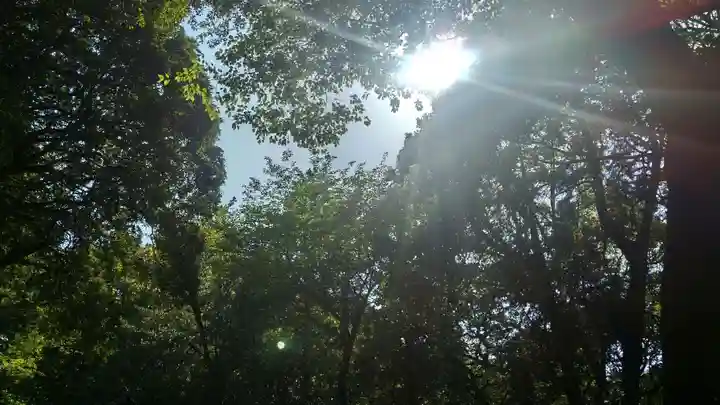 天石門別保布羅神社の自然
