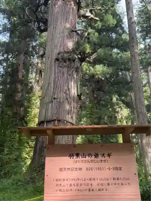羽黒山五重塔(出羽三山神社)(山形県)