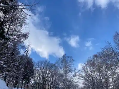 上野幌神社の景色