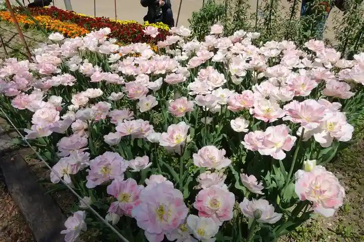 半木神社(賀茂別雷神社境外末社)(京都府)
