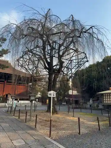 大報恩寺（千本釈迦堂）(京都府)