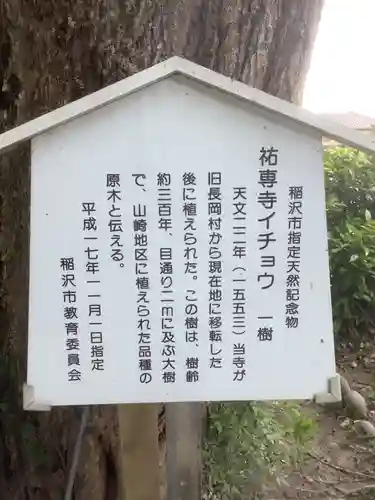 祐専寺のその他建物