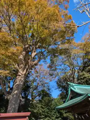 酒門神社の御朱印
