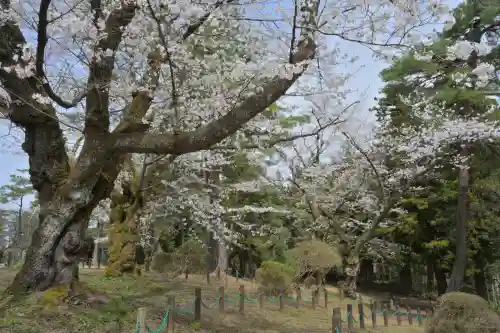 蒼柴神社(新潟県)