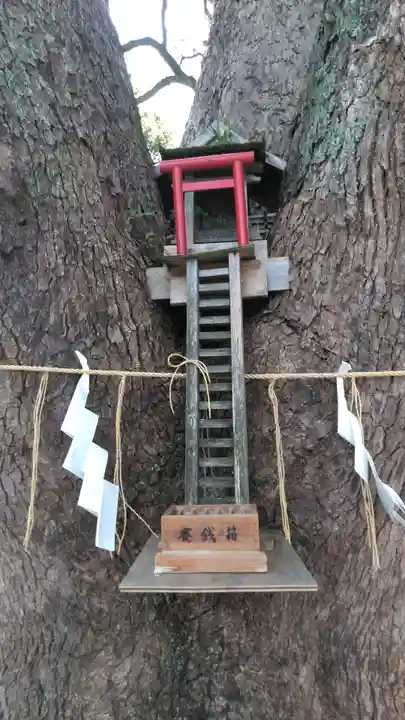 加藤神社の鳥居