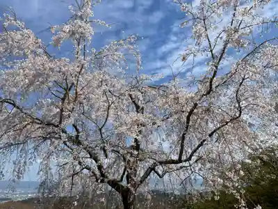 善峯寺(京都府)