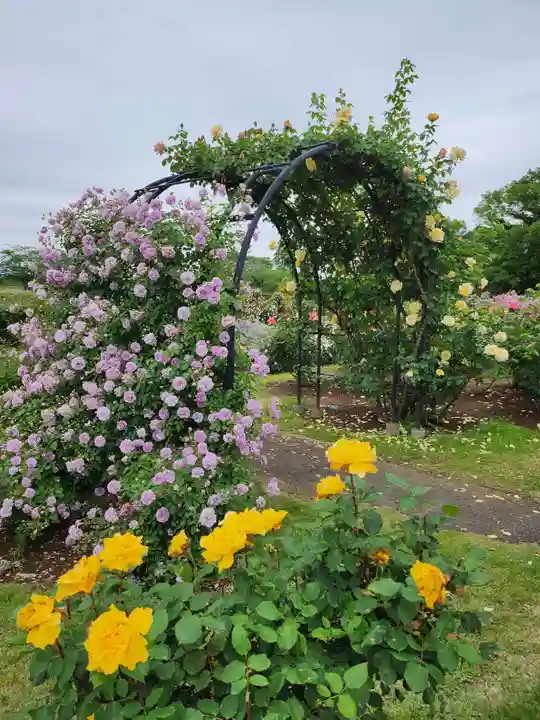 子安神社(茨城県)