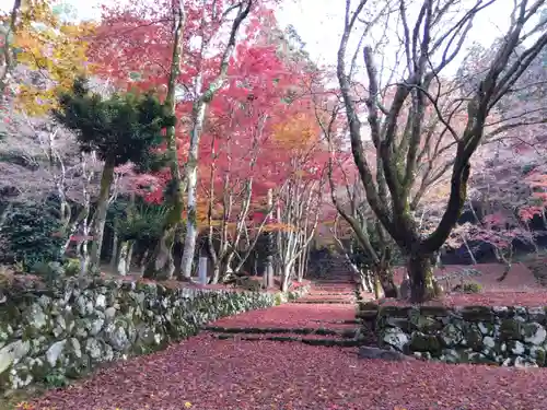 鶏足寺(滋賀県)