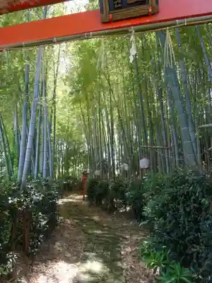 瓊寶庫山本宮(東京都)