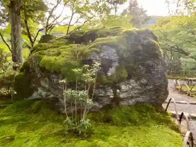 宝厳院(京都府)