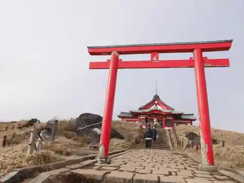 箱根元宮の鳥居