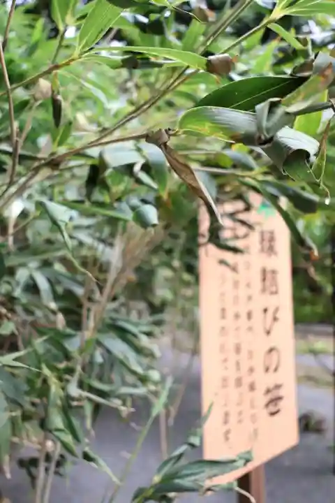 常陸第三宮 吉田神社(茨城県)