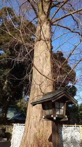 岩槻久伊豆神社(埼玉県)