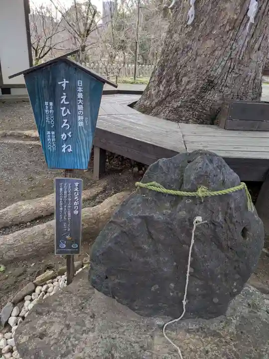 平野神社(京都府)