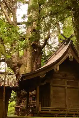 大杵社(大分県)