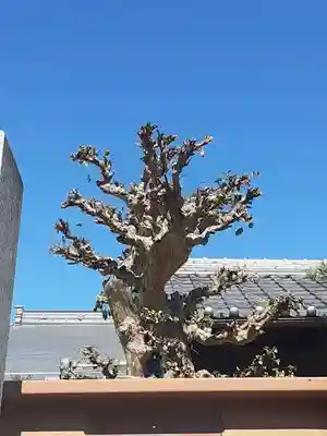 西方山極楽寺(岐阜県)