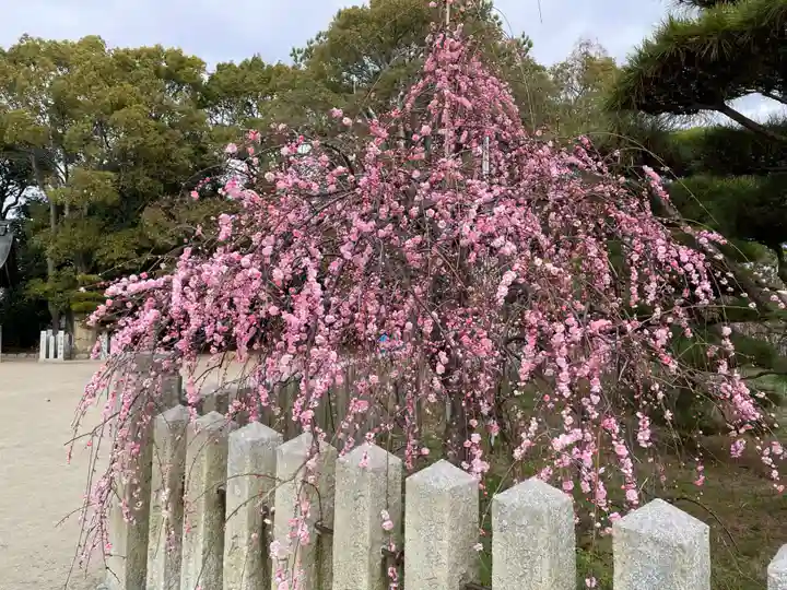 曽根天満宮(兵庫県)