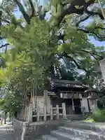 新熊野神社の自然