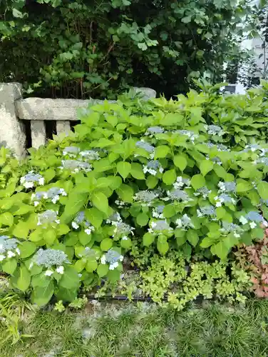 西久保八幡神社(東京都)
