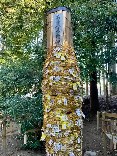 下野 星宮神社(栃木県)
