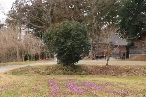 阿久津「田村神社」（郡山市阿久津町）旧社名：伊豆箱根三嶋三社の景色