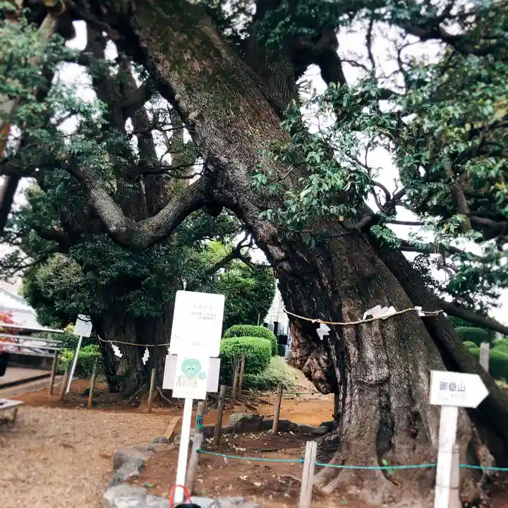 九重神社の自然