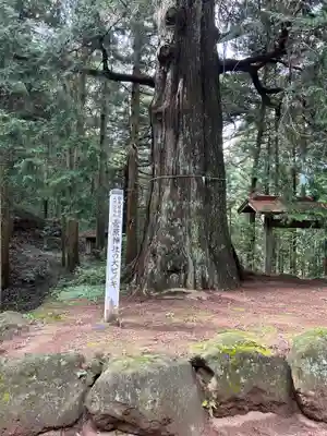 菅原神社(群馬県)