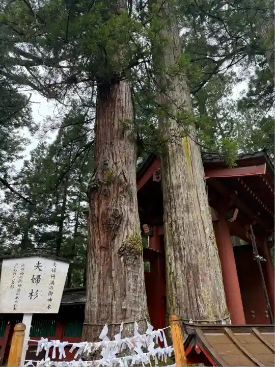 日光二荒山神社(栃木県)