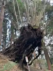 御嶽神社の自然