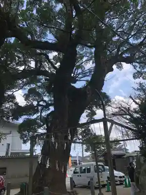 現人神社の自然